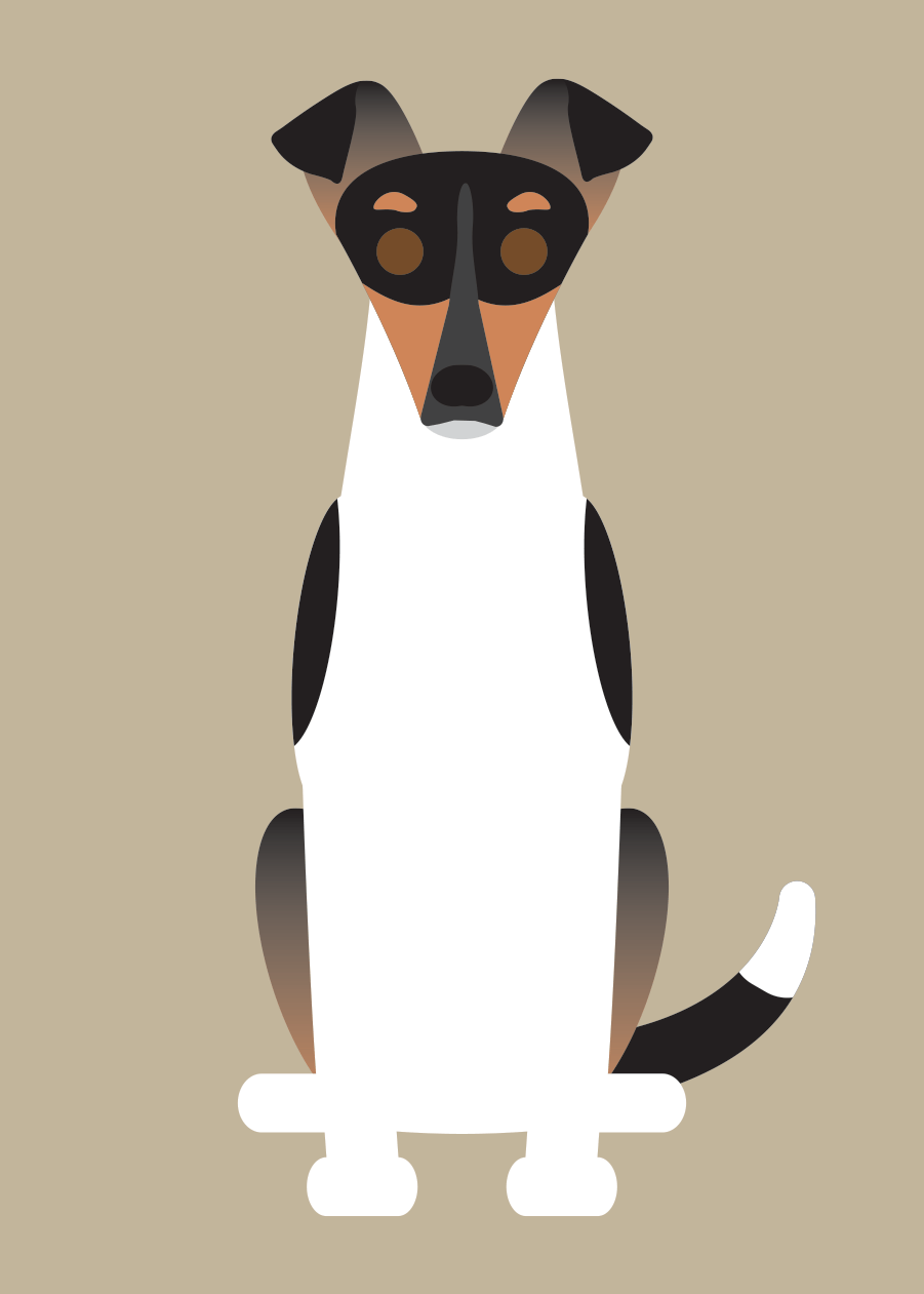 Collie Collection | marcartshop